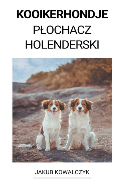 Kooikerhondje (P¿ochacz Holenderski) - Jakub Kowalczyk