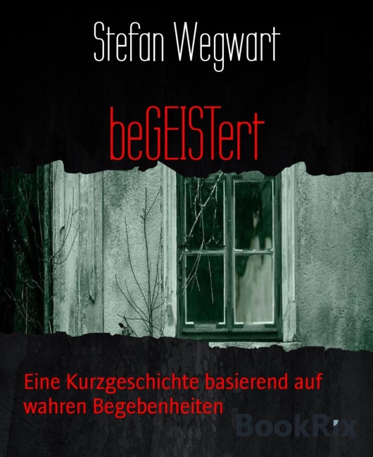 beGEISTert - Stefan Wegwart