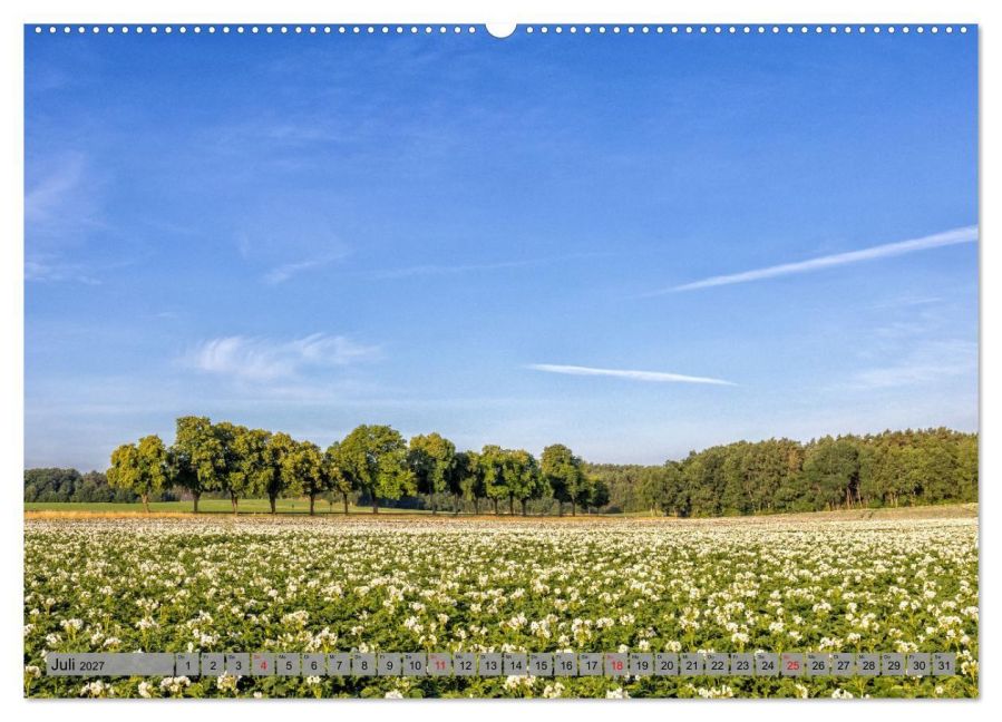 InsideView 11