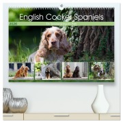 Cover-Bild zum Titel 'English Cocker Spaniels - Ein Spaziergang im Park (hochwertiger Premium Wandkalender 2026 DIN A2 quer), Kunstdruck in Hochglanz' von 'Fotodesign Verena Scholze'