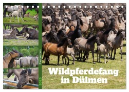 Faszination Wildpferdefang in Dülmen (Tischkalender 2025 DIN A5 quer), CALVENDO Monatskalender - Babett Paul - Babetts Bildergalerie