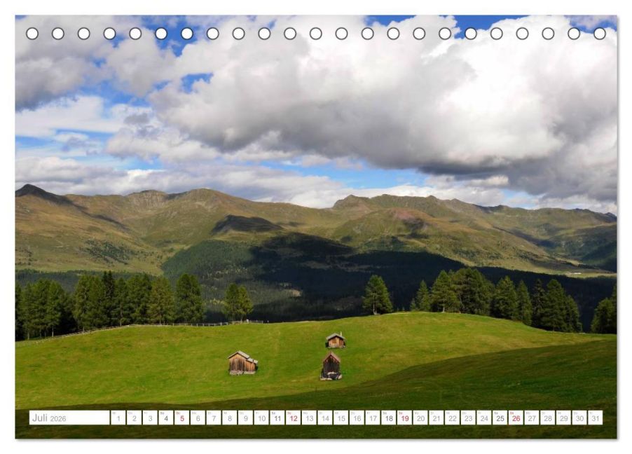 InsideView 12