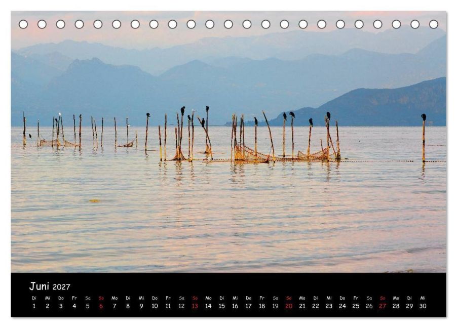 InsideView 11