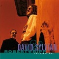 Cover-Bild zum Titel 'The First Day' von 'David/Fripp Sylvian'