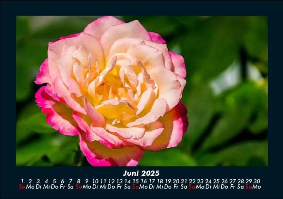 InsideView 10