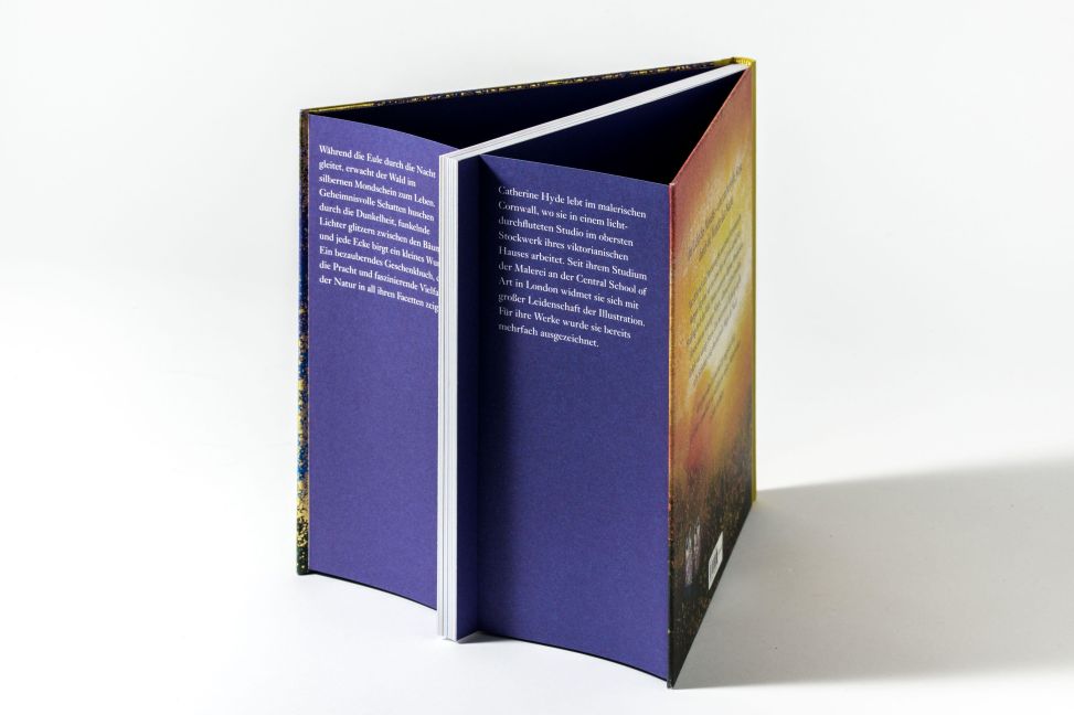 InsideView 3
