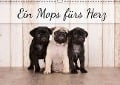 Ein Mops fürs Herz (Wandkalender immerwährend DIN A3 quer) - Nicole Noack