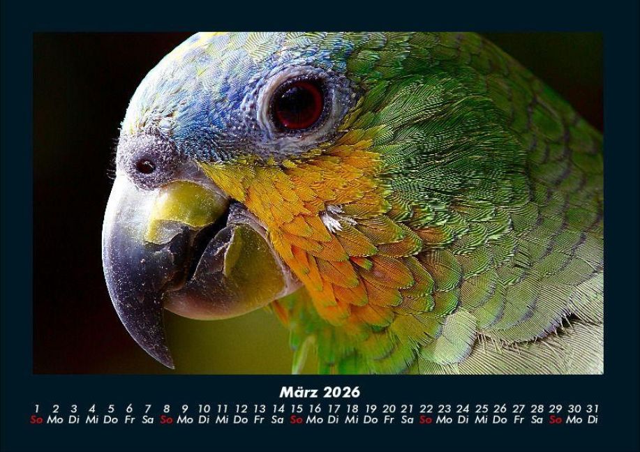 InsideView 7