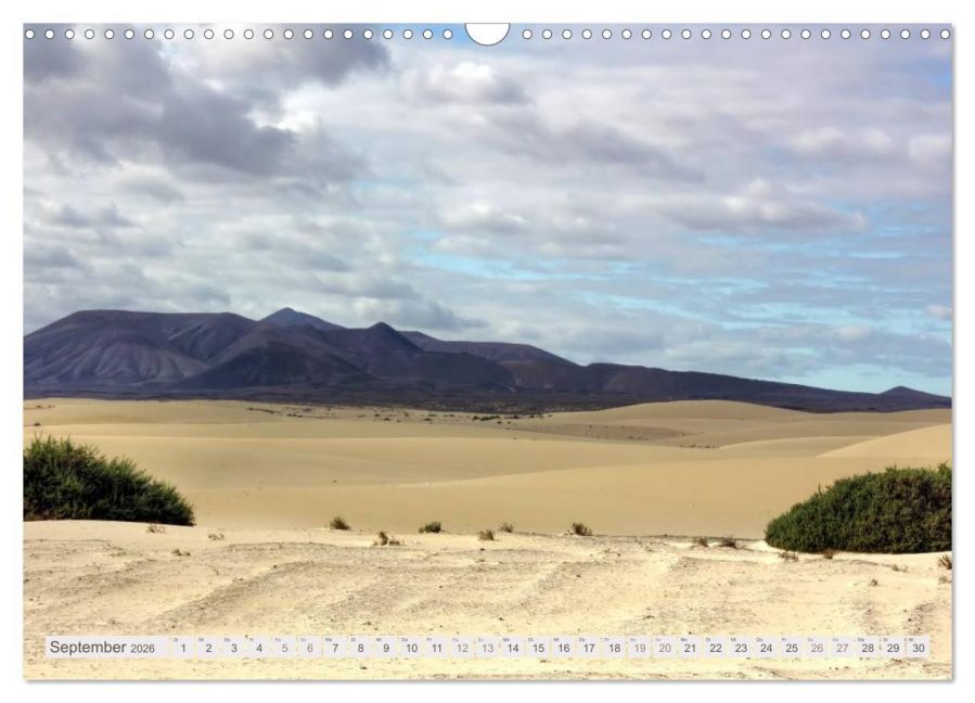 InsideView 14