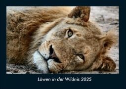 Cover-Bild zum Titel 'Löwen in der Wildnis 2025 Fotokalender DIN A4' von 'Tobias Becker'