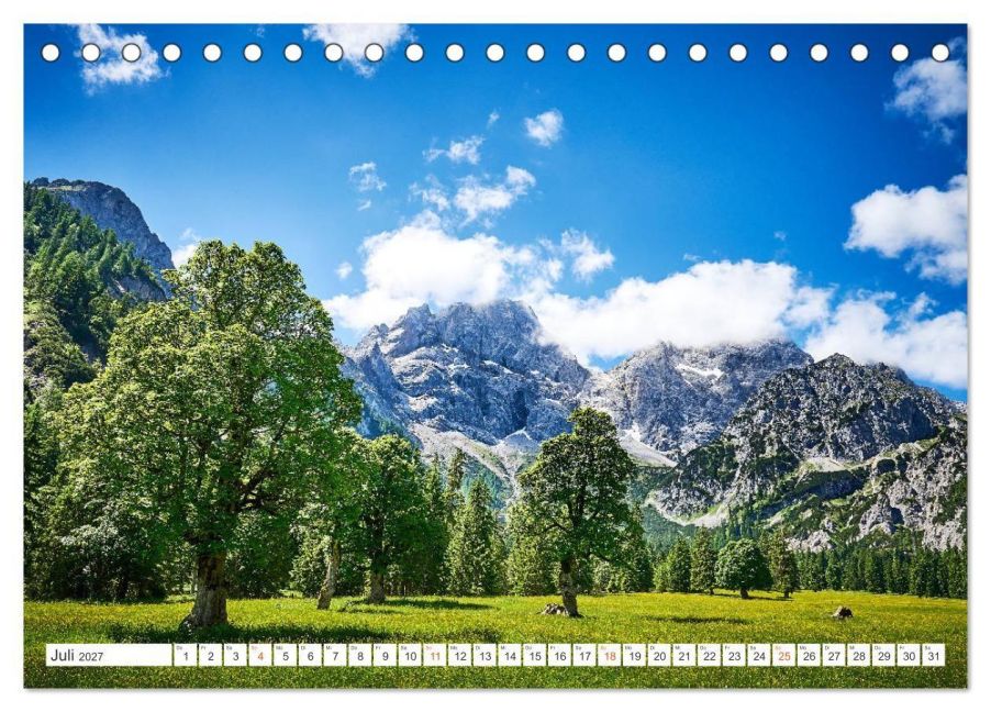 InsideView 12