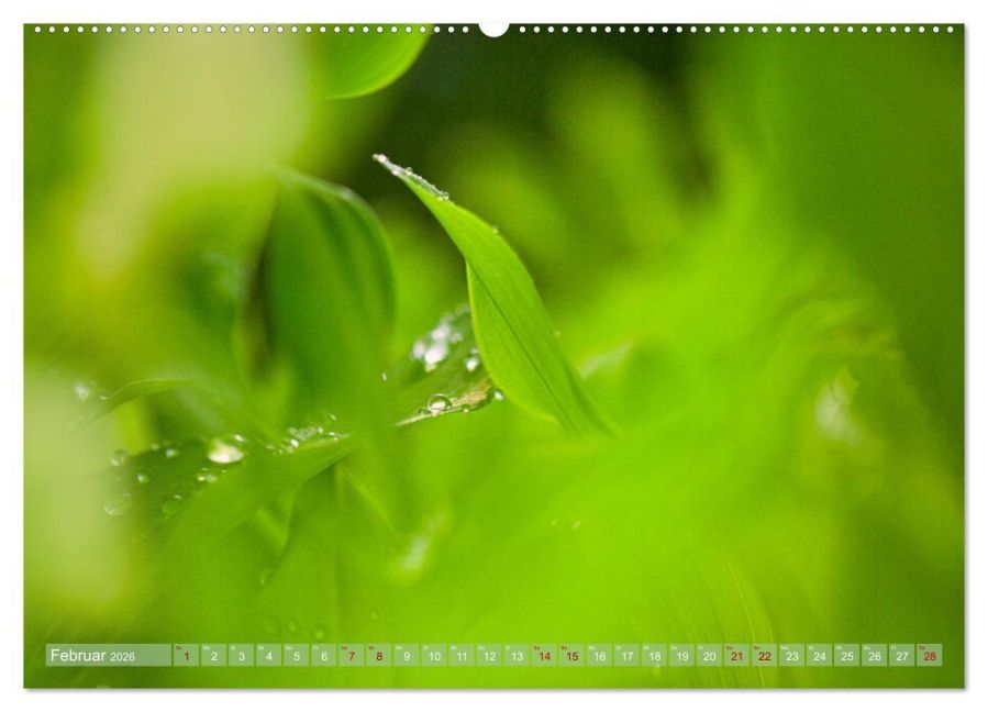 InsideView 6