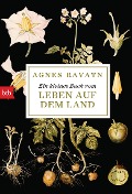 Ein kleines Buch vom Leben auf dem Land - Agnes Ravatn