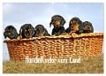 Hundekinder vom Land (Wandkalender 2024 DIN A2 quer), CALVENDO Monatskalender - Beatrice Müller