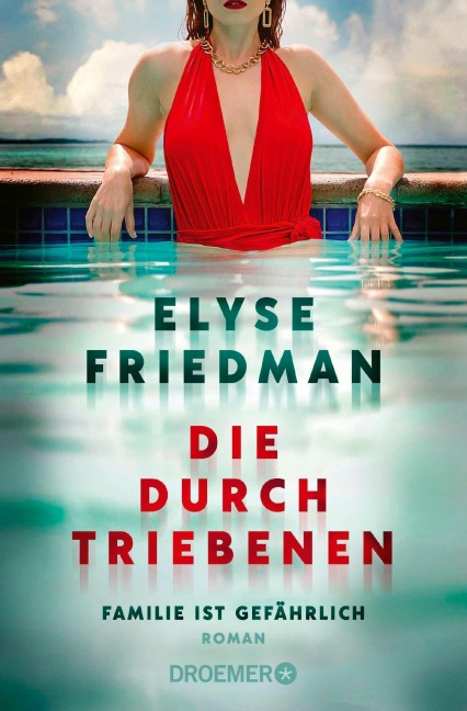 Die Durchtriebenen - Elyse Friedman