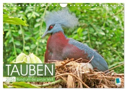 Cover-Bild zum Titel 'Tauben rund um die ganze Welt (Wandkalender 2026 DIN A4 quer), CALVENDO Monatskalender' von 'Calvendo Calvendo'