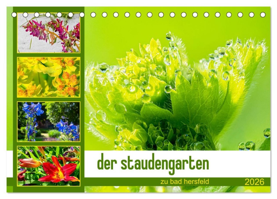der staudengarten zu bad hersfeld (Tischkalender 2026 DIN A5 quer), CALVENDO Monatskalender - Steffen Sennewald