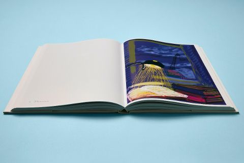 InsideView 2