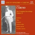 Complete Recordings Vol.12 - Enrico Caruso