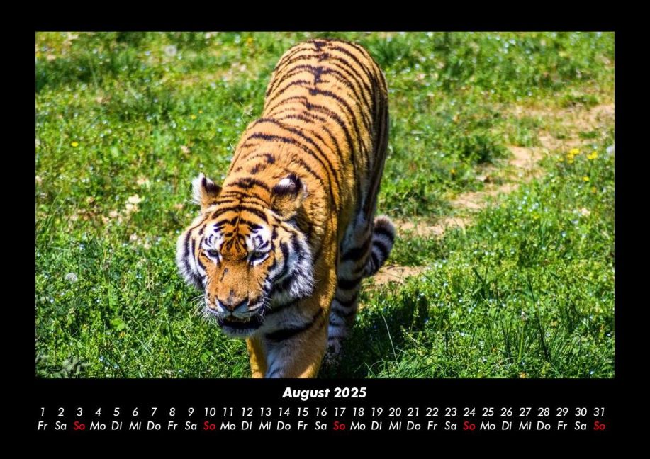 InsideView 12