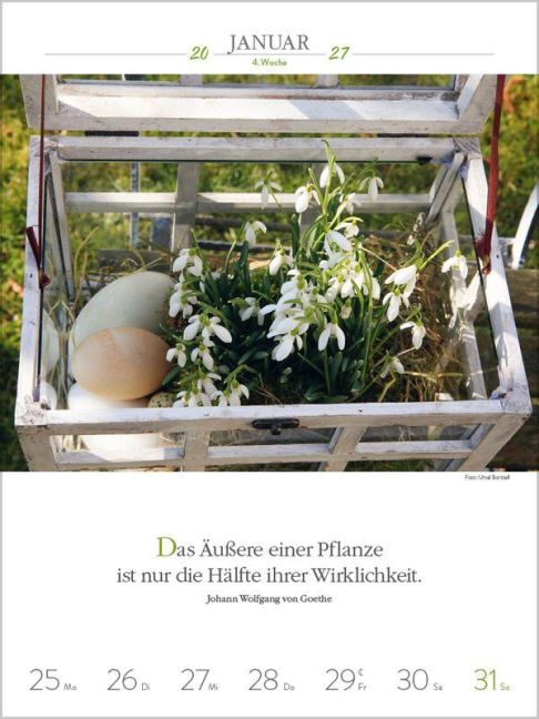 InsideView 2