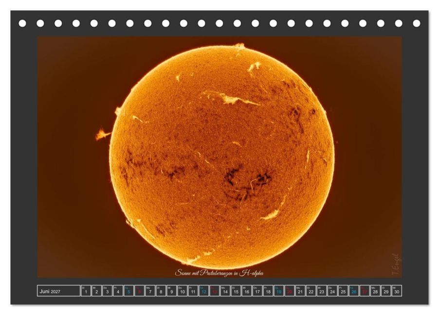 InsideView 11