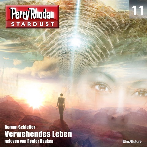 Stardust 11: Verwehendes Leben - Roman Schleifer