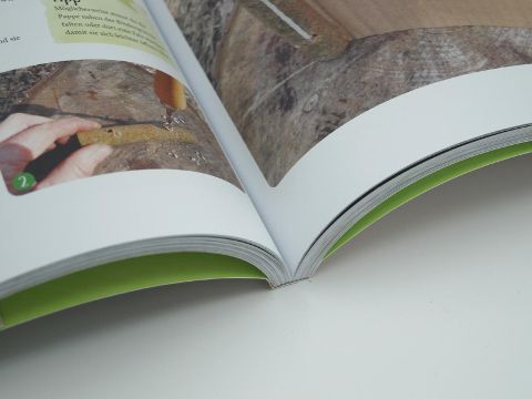 InsideView 7