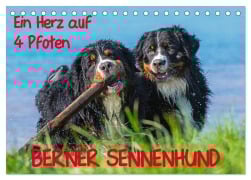 Ein Herz auf 4 Pfoten - Berner Sennenhund (Tischkalender 2026 DIN A5 quer), CALVENDO Monatskalender - Sigrid Starick