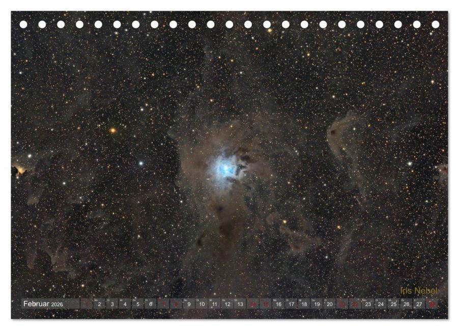 InsideView 7