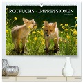 Rotfuchs - Impressionen (hochwertiger Premium Wandkalender 2025 DIN A2 quer), Kunstdruck in Hochglanz - Susanne Danegger