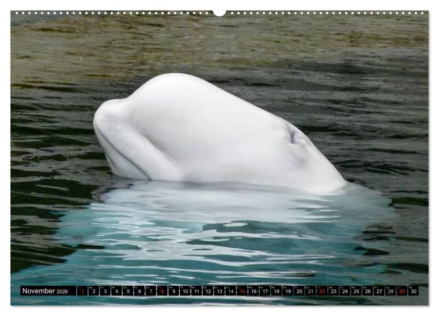 InsideView 3