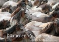 Cover-Bild zum Titel 'Dülmener Wildpferde - Gefährdete Nutztierrasse (Wandkalender immerwährend DIN A3 quer)' von 'Barbara Mielewczyk'