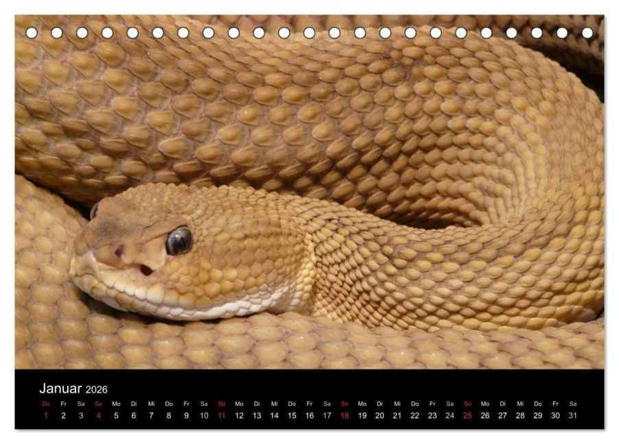 InsideView 6