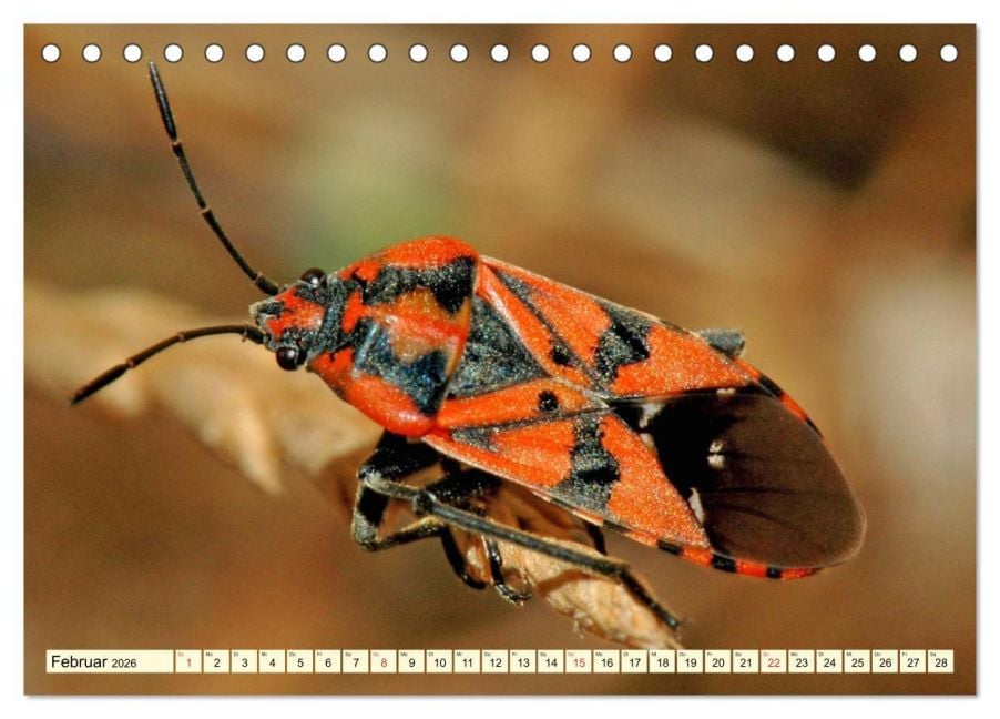 InsideView 7