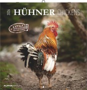 Hühner 2026 - Broschürenkalender 30x30 cm (30x60 geöffnet) - Kalender mit Platz für Notizen - Hühner - Bildkalender - Wandkalender - Hühnerkalender - 
