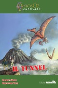 Cover-Bild zum Titel 'Il tunnel' von 'Simonetta Grippi, Christopher Yates'