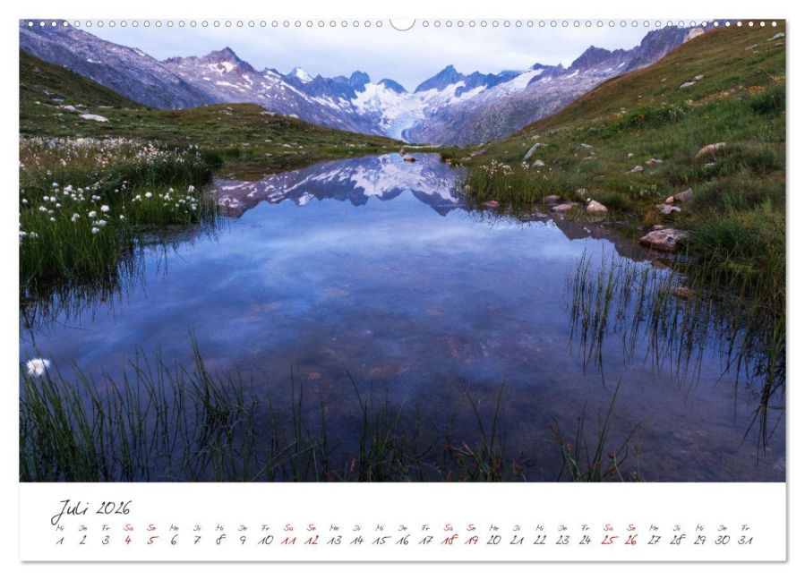 InsideView 12