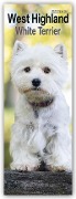 West Highland White Terrier - Westies 2025 - Avonside Publishing Ltd