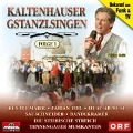 Cover-Bild zum Titel 'Kaltenhauser Gstanzlsingen' von 'Various'