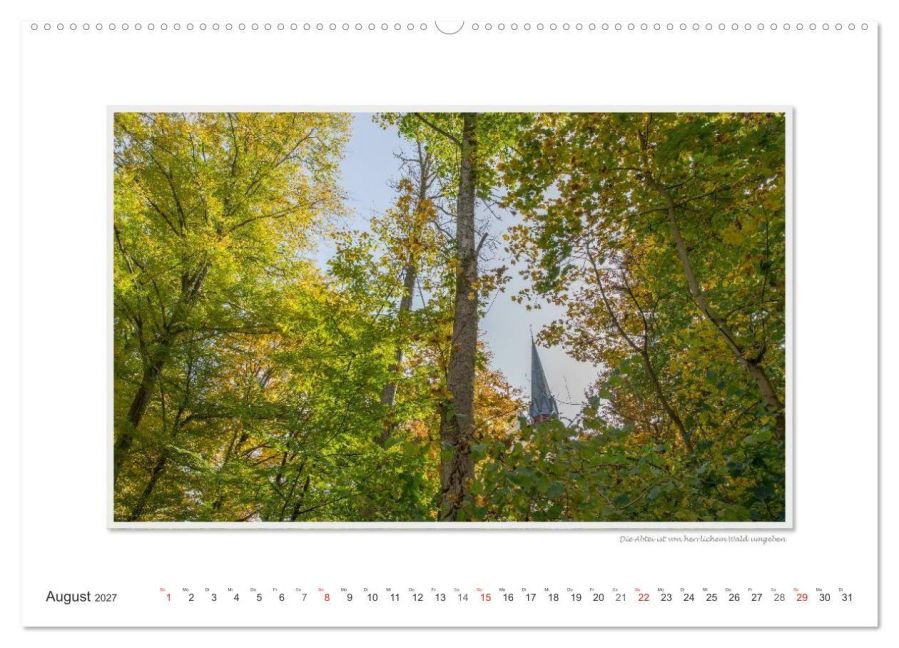InsideView 13