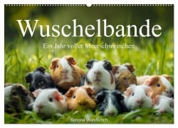 Cover-Bild zum Titel 'Wuschelbande - Ein Jahr voller Meerschweinchen (Wandkalender 2026 DIN A2 quer), CALVENDO Monatskalender' von ''