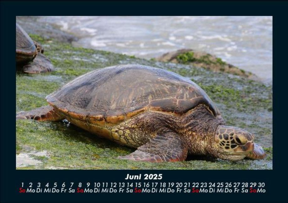 InsideView 10