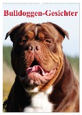 Bulldoggen-Gesichter (Wandkalender 2025 DIN A2 hoch), CALVENDO Monatskalender - Elisabeth Stanzer