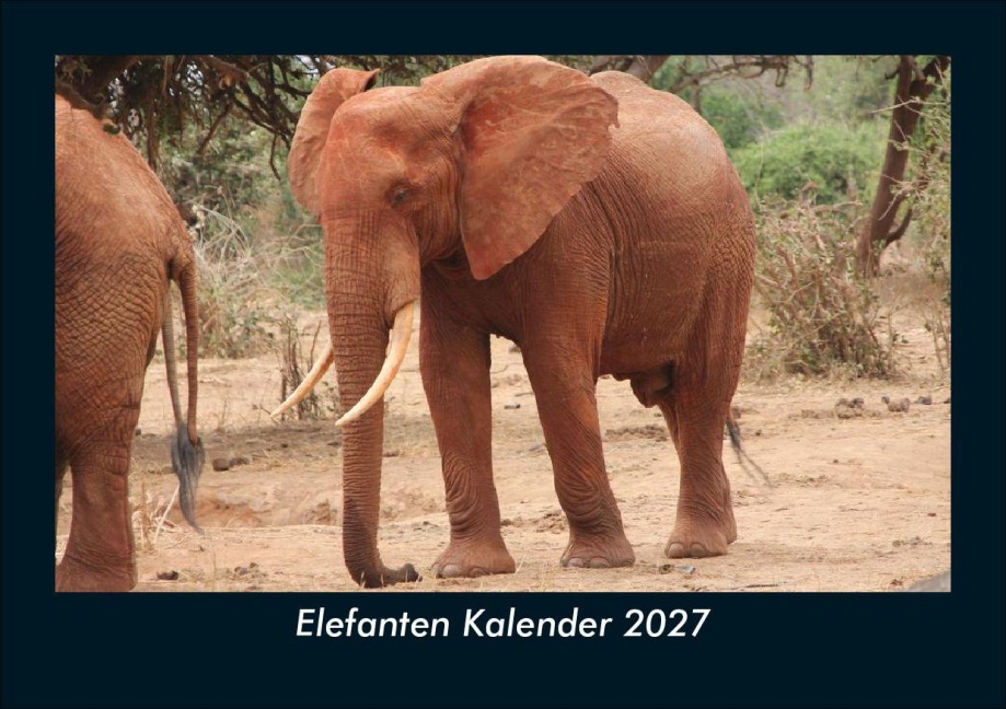 Elefanten Kalender 2027 Fotokalender DIN A5 - Kevin Heber, Tobias Schmitt