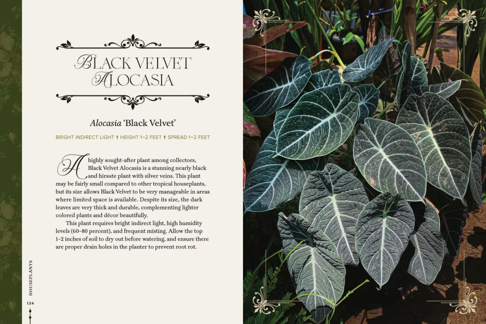 InsideView 7