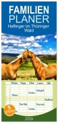 Cover-Bild zum Titel 'Familienplaner 2026 - Haflinger im Thüringer Wald mit 5 Spalten (Wandkalender, 21 x 45 cm) CALVENDO' von 'Torsten Irmer'