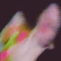 Cover-Bild zum Titel 'Existenz (2CD)' von 'Function'