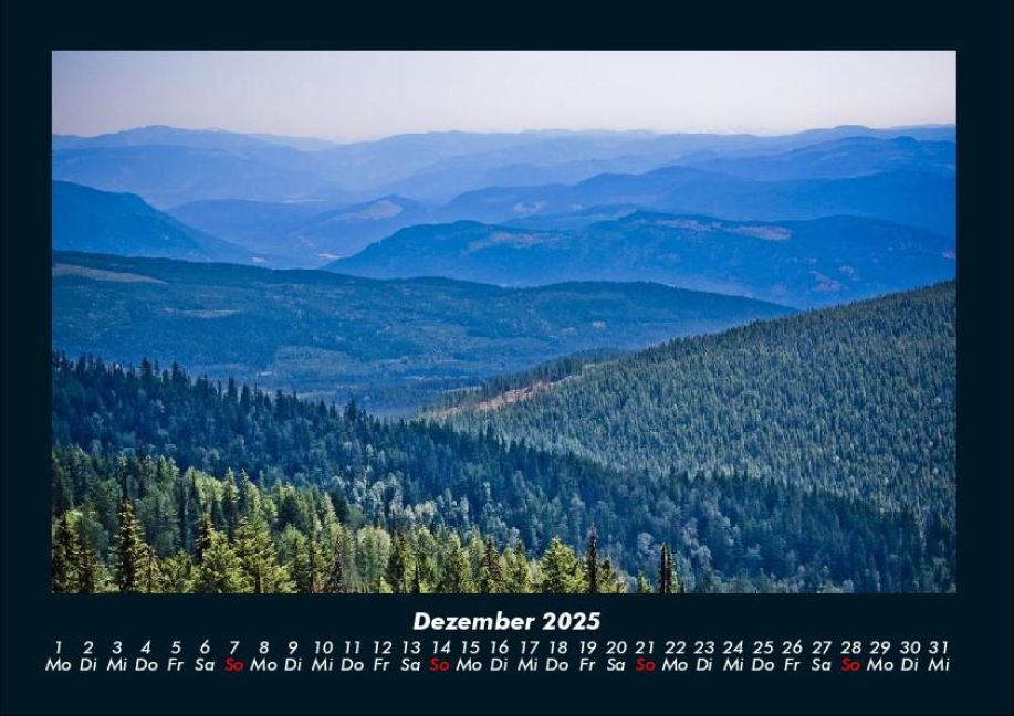 InsideView 4