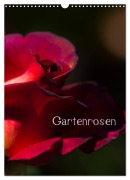 Gartenrosen (Wandkalender 2026 DIN A3 hoch), CALVENDO Monatskalender - Erwin Renken